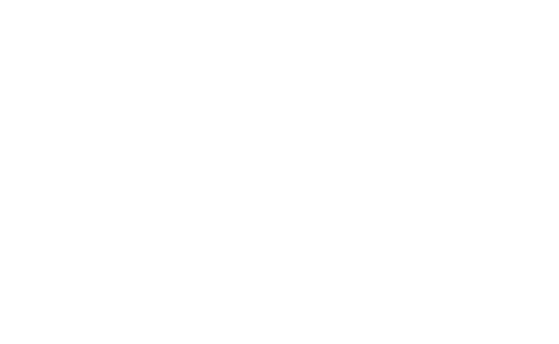 Brume des Fagnes