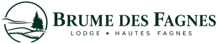 Brume des fagnes